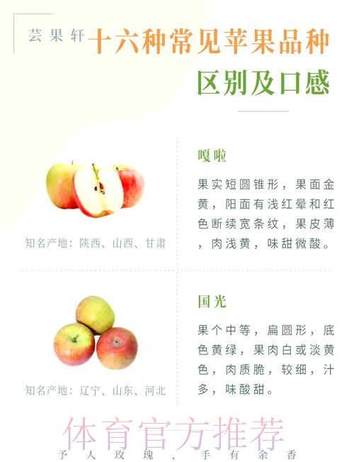 世界杯盘口苹果热门推荐解析与分析