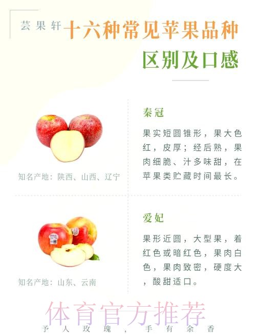 世界杯盘口苹果热门推荐解析与分析